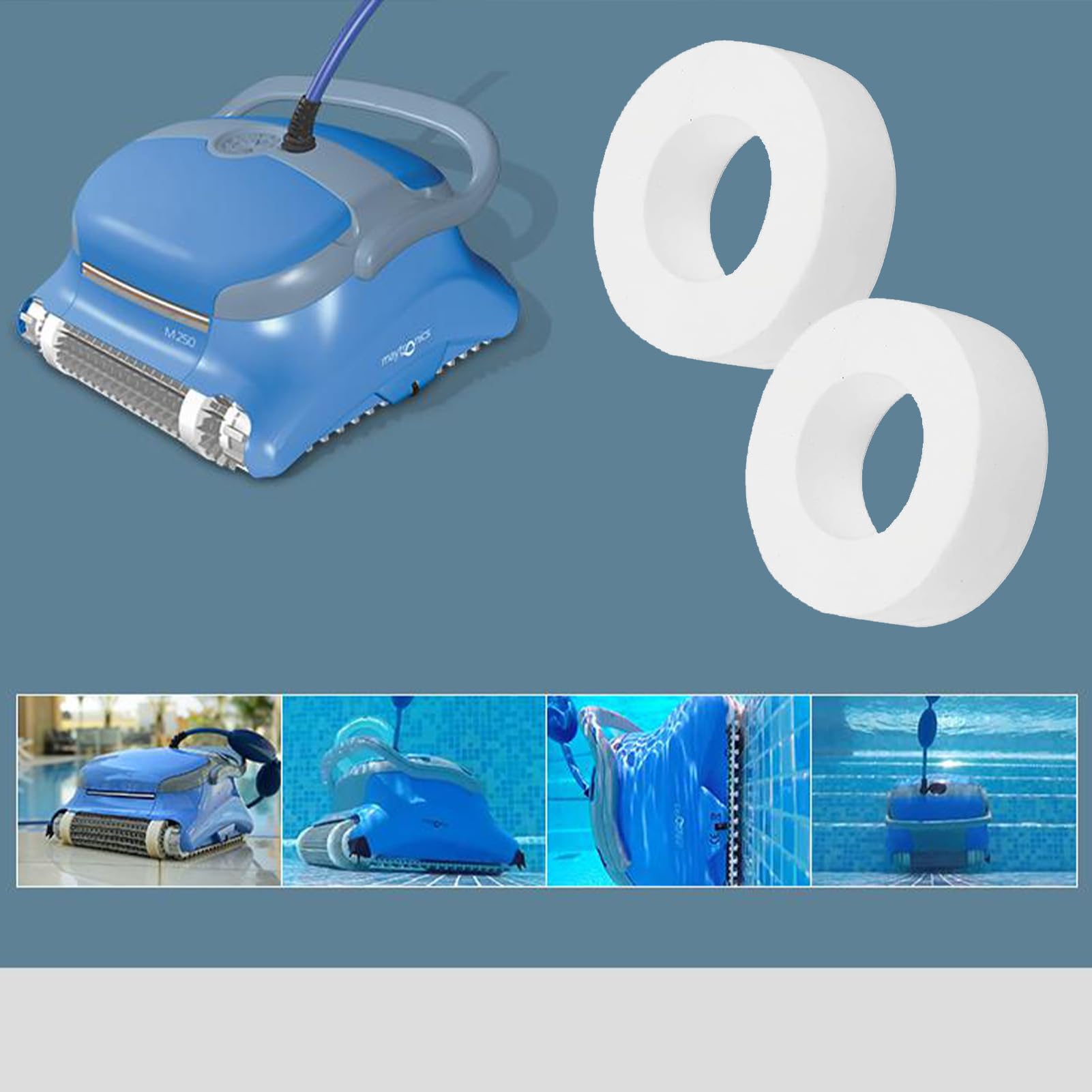 Amazon.co.jp: クライミングリング 4個パック Maytronics Dolphin